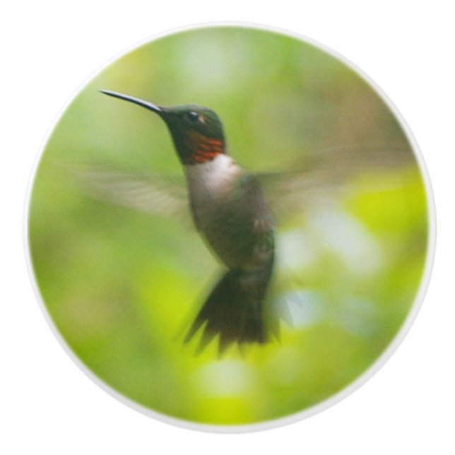 Pomo De Cerámica Male Ruby Throat Hummingbird (Anverso)