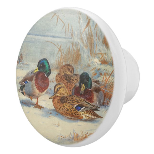 Pomo De Cerámica Mallard y verde azulado en la nieve, Aves (Derecha)