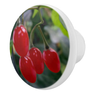 Pomo De Cerámica manchas rojas de otoño