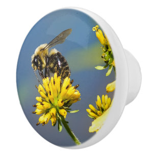 Pomo De Cerámica Manosee la abeja en botón de cerámica del