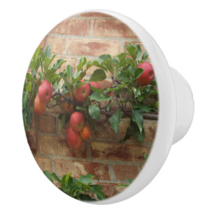POMO DE CERÁMICA MANZANAS QUE CRECEN EN LA PARED DE LADRILLO