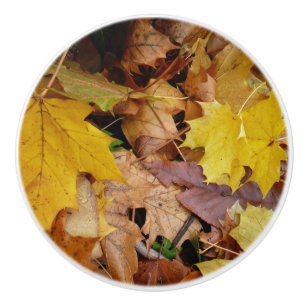 Pomo De Cerámica Maple caído deja naturaleza otoño amarilla