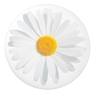 Pomo De Cerámica margarita blanca