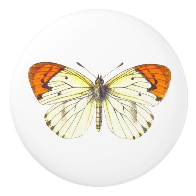 Pomo De Cerámica Mariposa amarilla y Naranja (Anverso)
