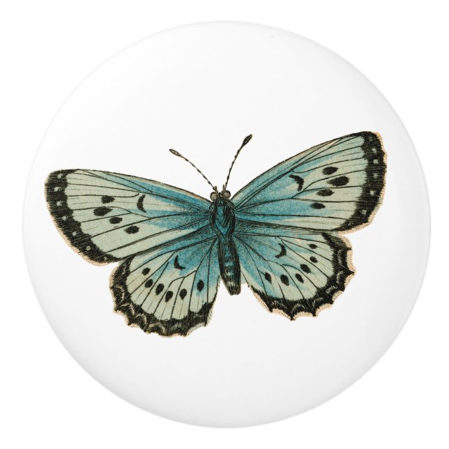 Pomo De Cerámica Mariposa azul (Anverso)