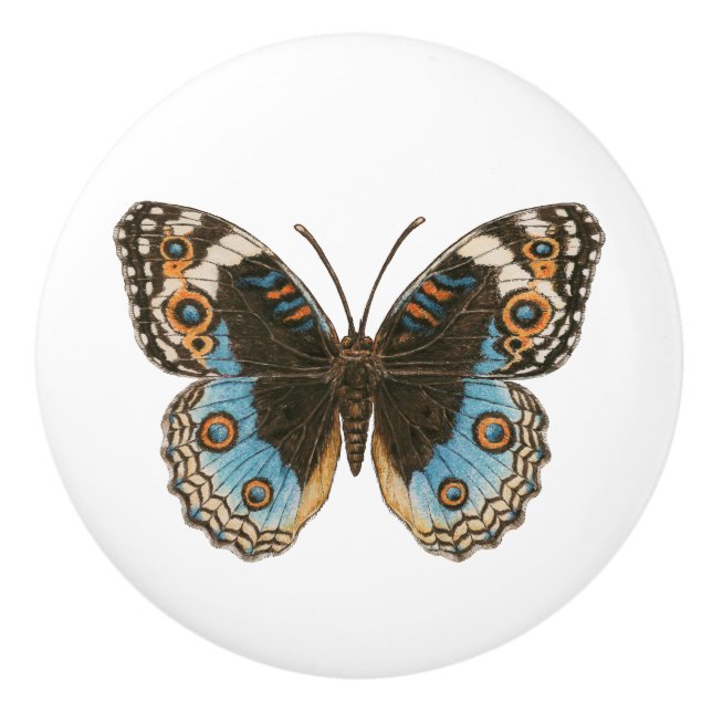 Pomo De Cerámica Mariposa de Blue Pansy (Anverso)