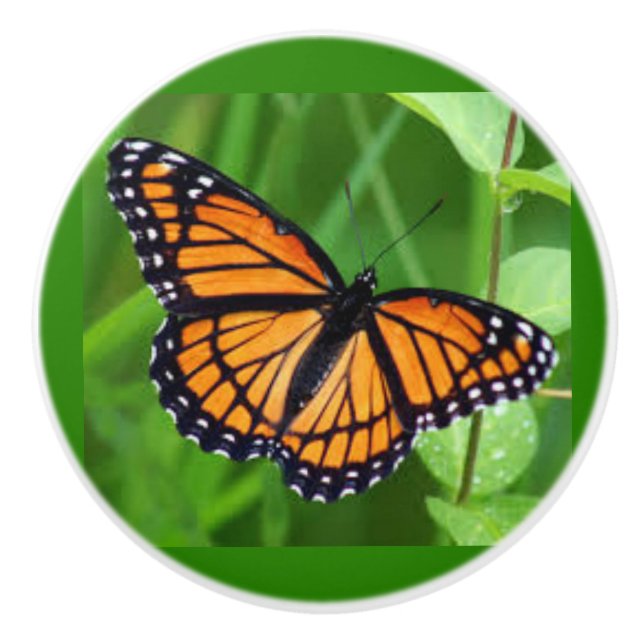 Pomo De Cerámica Mariposa en los tetones de cerámica (Anverso)