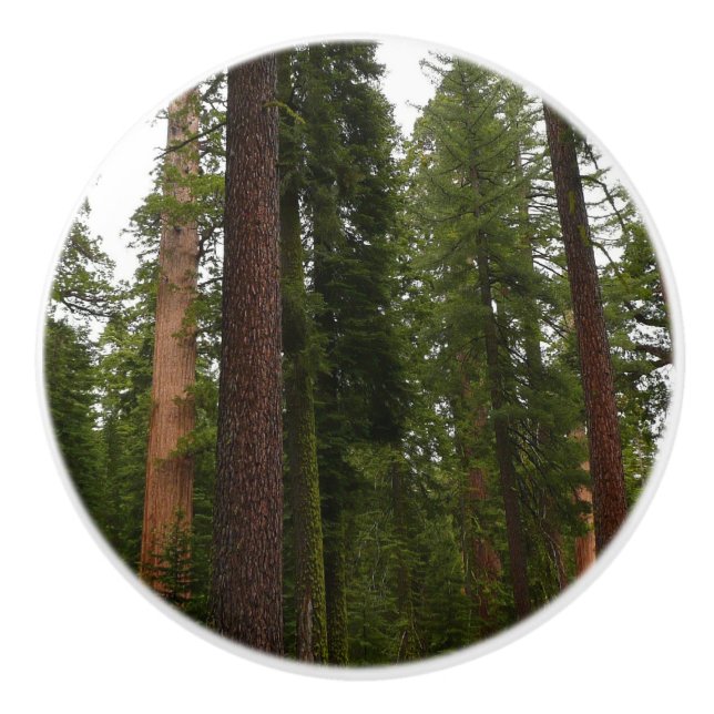 Pomo De Cerámica Mariposa Grove en el Parque Nacional Yosemite (Anverso)
