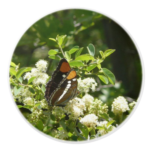 Pomo De Cerámica Mariposa Hermana de California en Yosemite (Anverso)