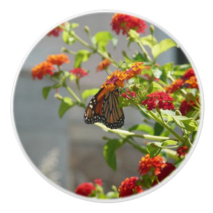 Pomo De Cerámica Mariposa Monarca en Arbusto de Mariposas Rojo