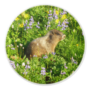 Pomo De Cerámica Marmot en Mont Rainier Wildflowers