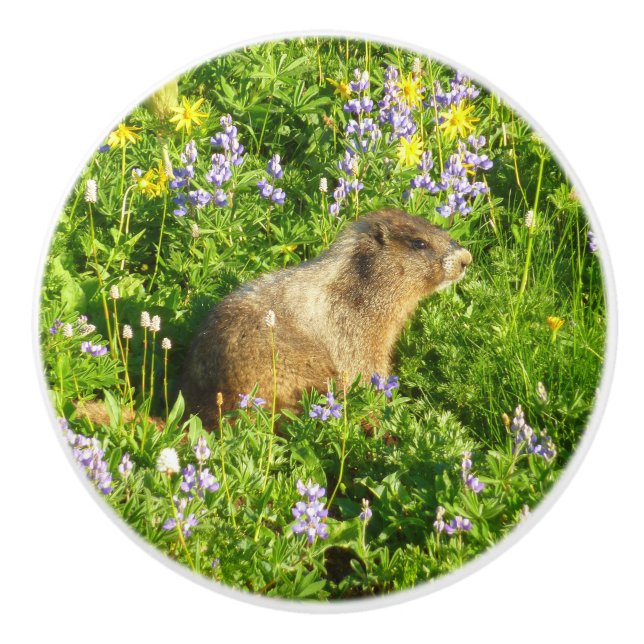 Pomo De Cerámica Marmot en Mont Rainier Wildflowers (Anverso)