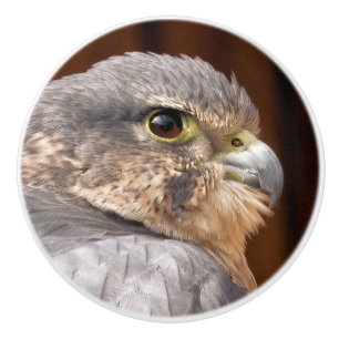 POMO DE CERÁMICA MERLIN FALCON BIRD DE PRESA