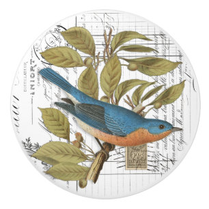 Pomo De Cerámica Moda de Vintage Bluebird en la rama de escritura f