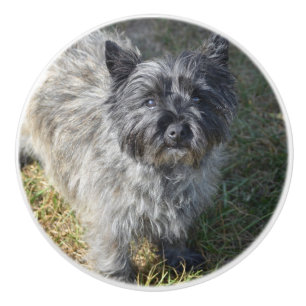 Pomo De Cerámica Mojón Terrier negro