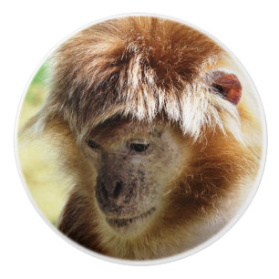 POMO DE CERÁMICA MONKEYS