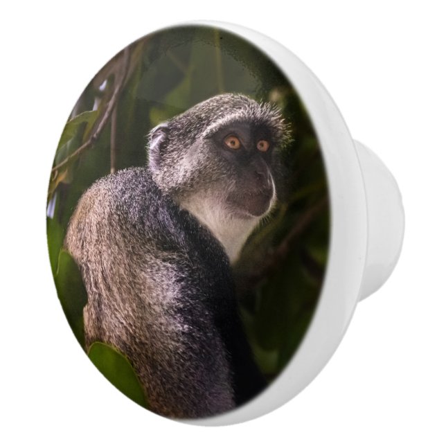 Pomo De Cerámica Mono azul, Zanzíbar (Derecha)