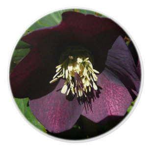 Pomo De Cerámica Morado Rosa de Cuaresma, flor de Pascua