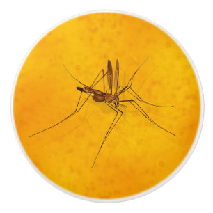 Pomo De Cerámica Mosquito en la réplica fósil ámbar prehistóric