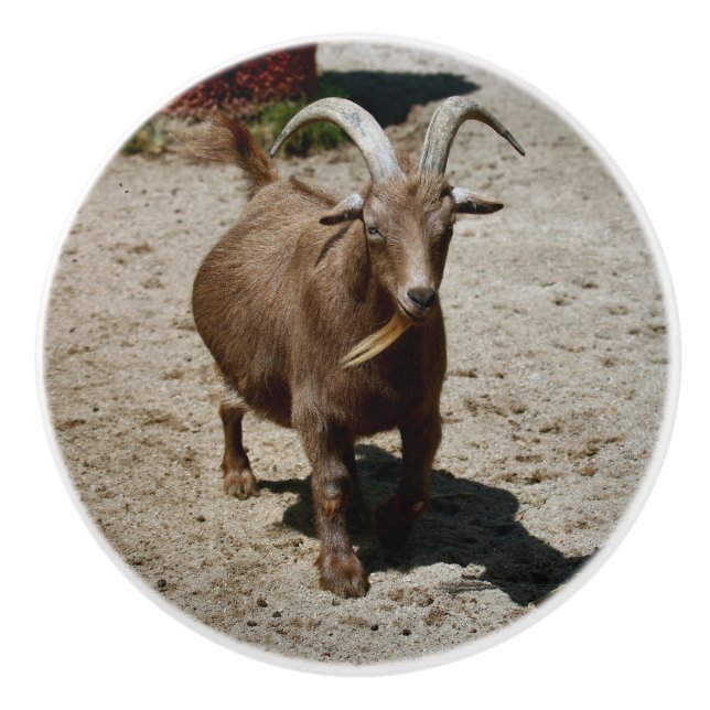 Pomo De Cerámica Mr. Bill (Anverso)