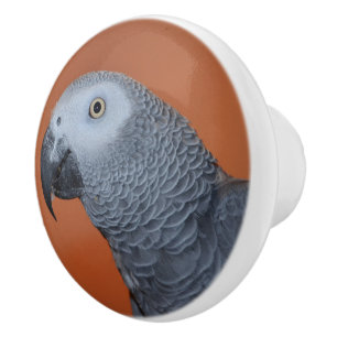 Pomo De Cerámica Naranja African Gray Parrot Dresser Knob