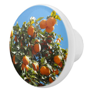 Pomo De Cerámica naranja, cítricos, fruta, fresca, rebanada, comida