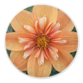 Pomo De Cerámica Naranja Collarette Dahlia Floral