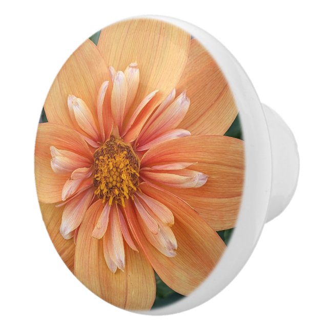 Pomo De Cerámica Naranja Collarette Dahlia Floral (Derecha)