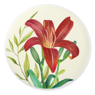 Pomo De Cerámica Naranja de acuarela Ilustracion Lily sobre Beige