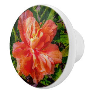 Pomo De Cerámica Naranja Hibiscus Beauty