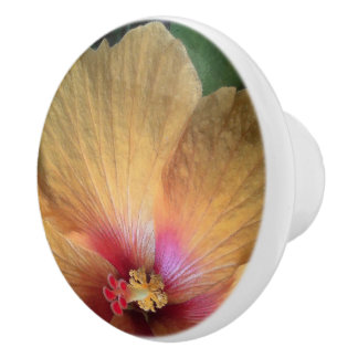 Pomo De Cerámica Naranja Hibiscus Ruffle