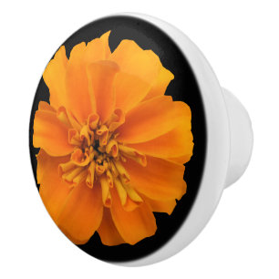 Pomo De Cerámica Naranja Marigold Flor en negro