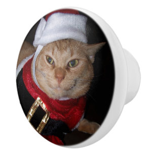 Pomo De Cerámica Naranja Santa Tabby Cat Knob