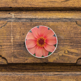 Pomo De Cerámica Naranja Single Dahlia Floral