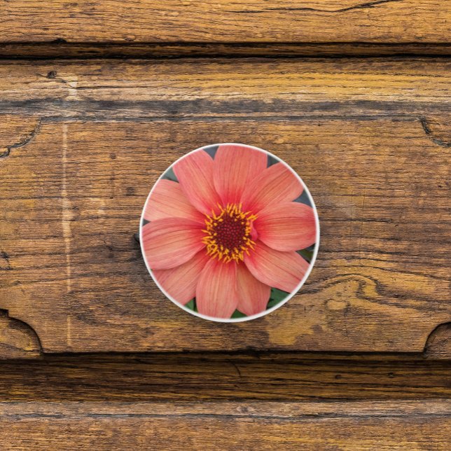 Pomo De Cerámica Naranja Single Dahlia Floral (In Situ)