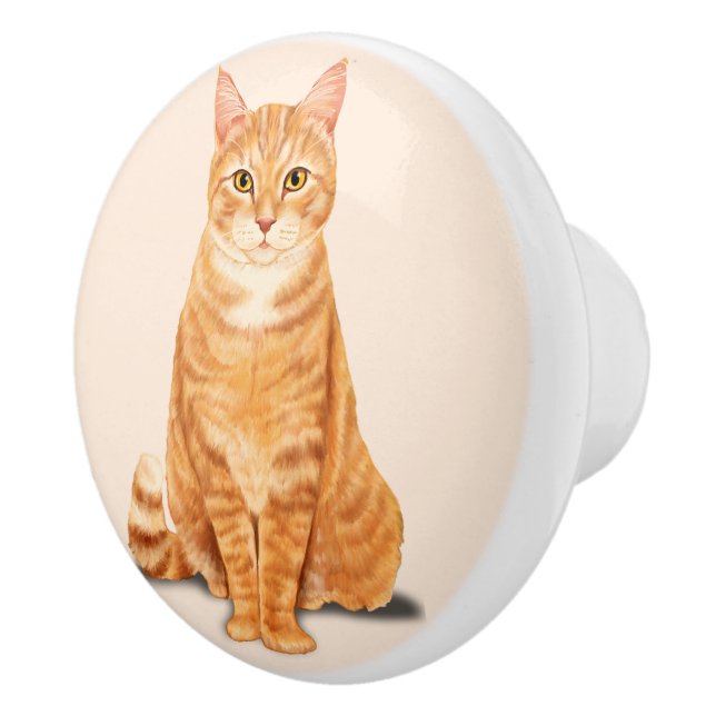 Pomo De Cerámica Naranja Tabby Cat Personalizado (Derecha)