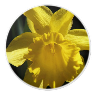 Pomo De Cerámica Narciso perfecto