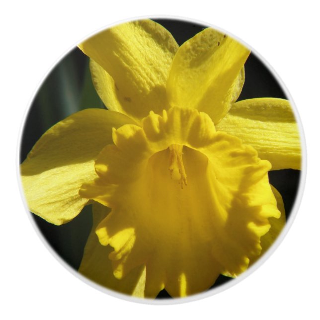 Pomo De Cerámica Narciso perfecto (Anverso)
