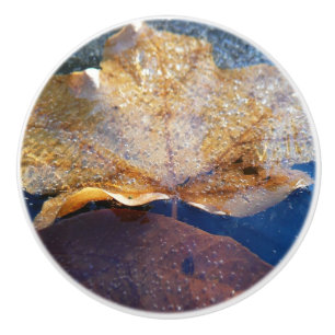Pomo De Cerámica Naturaleza otoñal de la hoja de arce amarilla cong