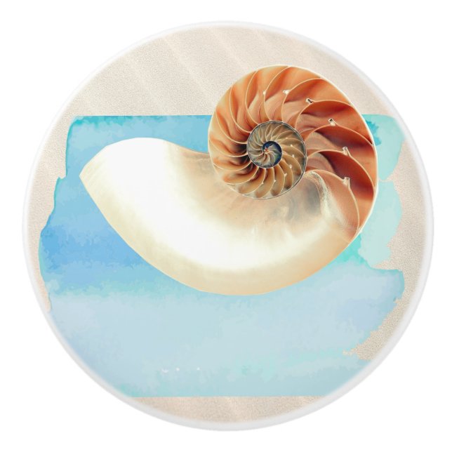 Pomo De Cerámica Nautilus Seashell and Sand (Anverso)