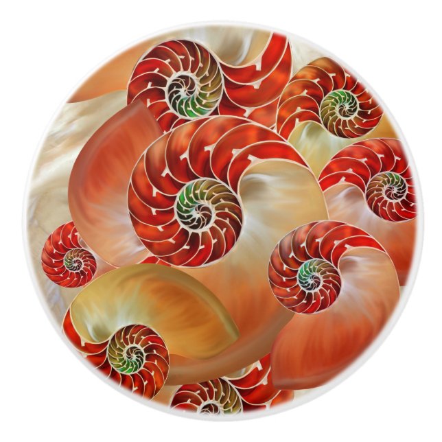 Pomo De Cerámica Nautilus Shells (Anverso)