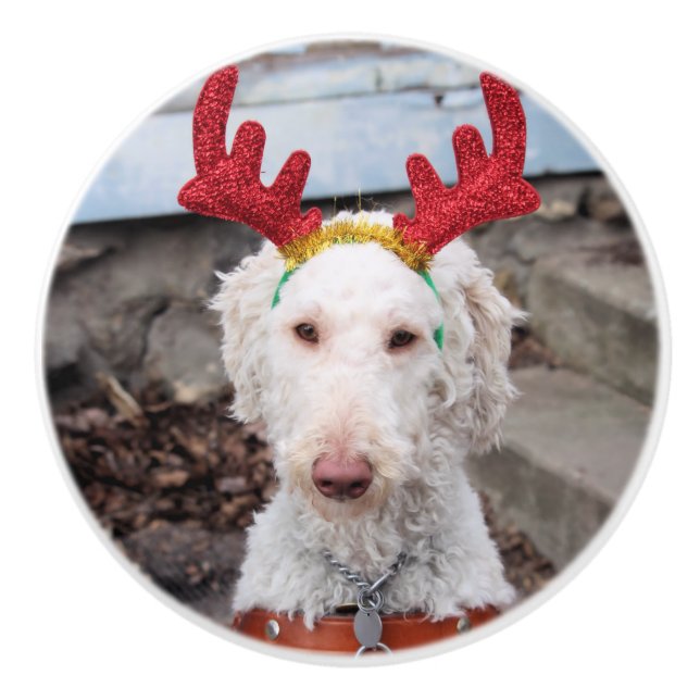 Pomo De Cerámica Navidades Ollie (Anverso)