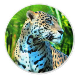 Pomo De Cerámica Nayla the Jaguar