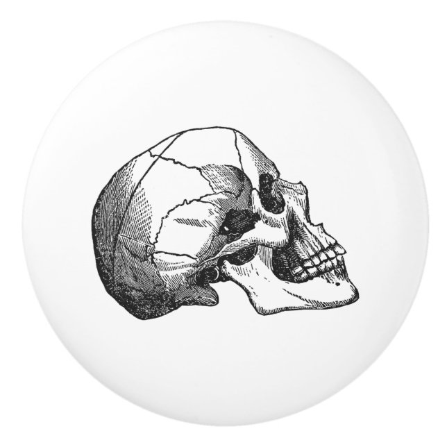 Pomo De Cerámica negro del ilustracion del perfil del cráneo del (Anverso)