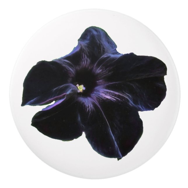 Pomo De Cerámica Negro Petunia Ceramic Knob (Anverso)