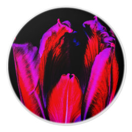 Pomo De Cerámica Neon Glow Tulip