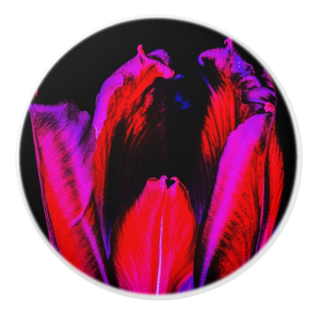 Pomo De Cerámica Neon Glow Tulip (Anverso)