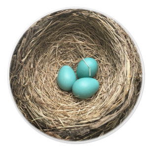 Pomo De Cerámica Nido de pájaros con huevos azules