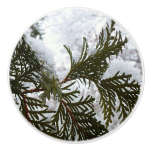 Pomo De Cerámica Nieve en ramas verdes