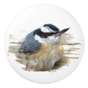 Pomo de cerámica Nuthatch de pechos rojos